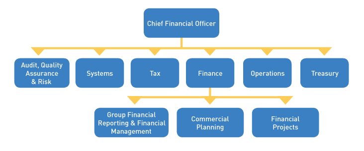 FIGURE U: Structure of CFO division 