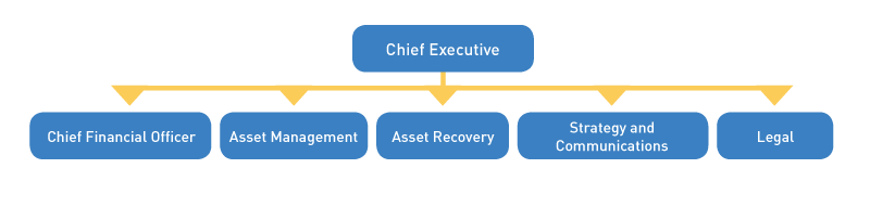 FIGURE P: NAMA organisational structure 