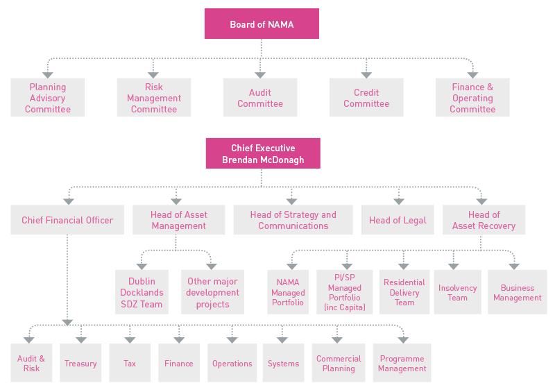 FIGURE R: NAMA organisational structure as at 1 January 2015 