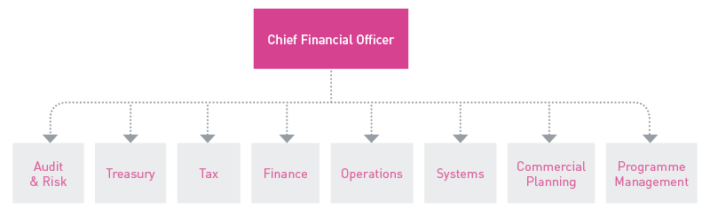 FIGURE U: CFO Division organisational structure